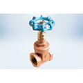 American Valve 3R 2 1-2 2.5 in. Lead Free Gate Valve - International Polymer Solutions with O-Ring 3R 2 1/2&quot;